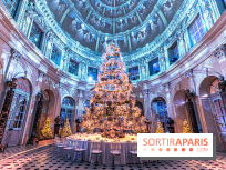 Le Grand Noël au Château de Vaux le Vicomte 2023 - photo -  A7C8269