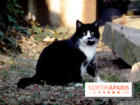 Le Père Lachaise, le cimetière le plus mythique de Paris et ses tombes de personnalités célèbres