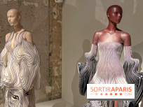 L’exposition retrospective de la créatrice de mode Iris Van Herpen au Musée des Arts Décoratifs - image00025