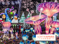 Noël au Parc Astérix 2023, sentier de lumières et patinoire