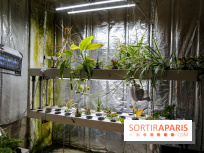 La Caverne, ferme urbaine bio à Paris, nos photos - IMG 2208