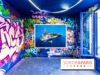 Colors Festival 2024, la nature reprend ses droits  -  A7C5734