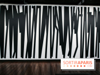 Tania Mouraud, nos photos de son expo à Fluctuart - IMG 2704