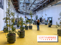 Exposition Signal de Mohamed Bourouissa au Palais de Tokyo - IMG 4531