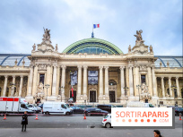 Visuel Paris 8e - Grand Palais