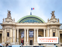 Visuel Paris 8e - Grand Palais