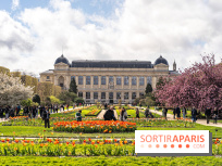 Visuel Paris 5e -  jardin des plantes - museum - printemps - cerisiers