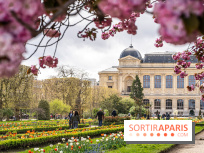 Visuel Paris 5e -  jardin des plantes - museum - printemps - cerisiers