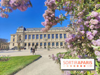 Visuel Paris 5e - Muséum jardin des plantes 