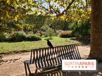 Visuel Paris 5e - corneille corbeau jardin des plantes