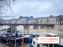 Visuel Paris 6e - Seine Pont des Arts hiver