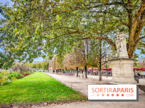 Visuel Paris 1er - jardin des Tuileries automne