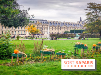 Visuel Paris 1er - jardin des Tuileries automne
