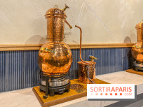 La Distillerie de l’Arbre Sec : l'atelier de création de gin à deux pas du Louvre