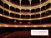 Nos critiques des pièces de théâtre et spectacles du moment à Paris et en Ile de France 