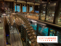 Grande Galerie de l'évolution- visuels 2024 - image00076