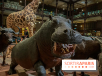 Grande Galerie de l'évolution- visuels 2024 - image00042