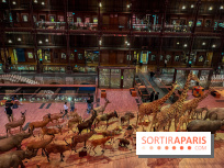 Grande Galerie de l'évolution- visuels 2024 - image00028