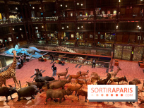 Grande Galerie de l'évolution- visuels 2024 - image00033