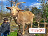 Visuels enfants, attractions, parc, Jardin d'Acclimatation, animaux, zoo