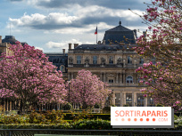 Les magnolias du Jardin du Palais Royal  -  A7C9086