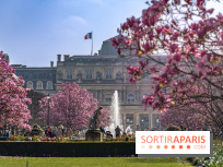 Les magnolias du Jardin du Palais Royal  - printemps - visuel Paris