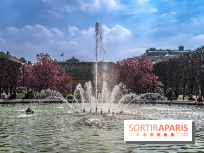 Les magnolias du Jardin du Palais Royal  - printemps - visuel Paris - fontaine - chaleur - beau temps