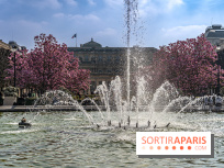 Les magnolias du Jardin du Palais Royal  - printemps - visuel Paris - fontaine - chaleur - beau temps