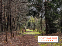 Arbor&Sens, l'Arboretum de Franchard en forêt de Fontainebleau - les photos