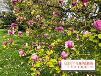 Jardin de l'Ecole du Breuil - nos photos