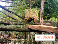 Ménagerie du Jardin des Plantes 2024 - nos photos - image00012