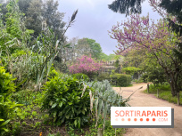 Ménagerie du Jardin des Plantes 2024 - nos photos