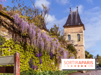 Village de Medan dans les Yvelines -  château de Medan - glycine