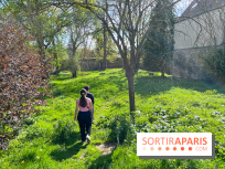 Dourdan - nos photos de la ville