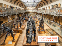 La Galerie de Paléontologie et d'Anatomie comparée du Muséum au Jardin des Plantes