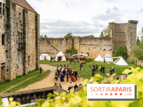 Les Rendez-vous de la Madeleine à Chevreuse -  A7C2549