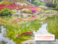 Natures vivantes : l'exposition photo qui met à l'honneur les jardins du musée Albert Kahn - photos - IMG20240429154837