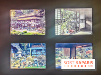 Natures vivantes : l'exposition photo qui met à l'honneur les jardins du musée Albert Kahn - photos