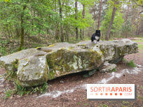 Dolmen de la Pierre Ardoue