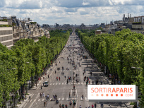 Grand pique nique des Champs-Élysées - photos