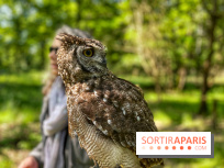 Fauconnier d'un jour - IMG 1419