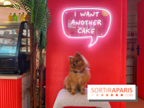 Casa del Doggo