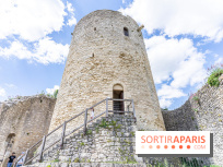 Le Château de la Roche Guyon, le château troglodyte dans le Val-d'Oise - 95 -  donjon
