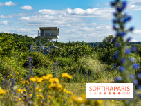 Le Parc du peuple de l'herbe dans les Yvelines - Étang de Galiotte - Carrières-sous-Poissy