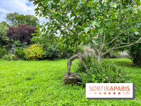 Le Jardin du Yoga à la Roche-Guyon - nos photos