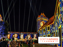 Lumières de Blandy : l'héritage des vicomtes, le spectacle sons et lumières -  A7C8174