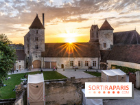 Le Château de Blandy-les-Tours en Seine-et-Marne (77), nos photos