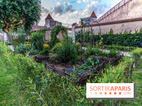 Le Château de Blandy-les-Tours en Seine-et-Marne (77), nos photos -  A7C7993