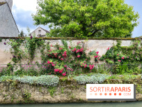 Crécy-la-Chappelle - nos photos - image00056