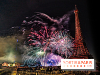 Feu d'artifice du 14 juillet de Paris 2024, les photos 